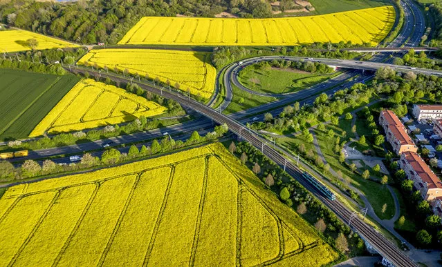 Subway rails and a highway are surrounded by blossoming rape fields in Frankfurt, Germany, Wednesday, May 3, 2023. (Photo by Michael Probst/AP Photo)