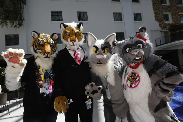 Participants dressed as cuddly animals arrive for the annual Eurofurence “furries” gathering at the Estrel hotel on August 22, 2018 in Berlin, Germany. (Photo by Michele Tantussi/Getty Images)