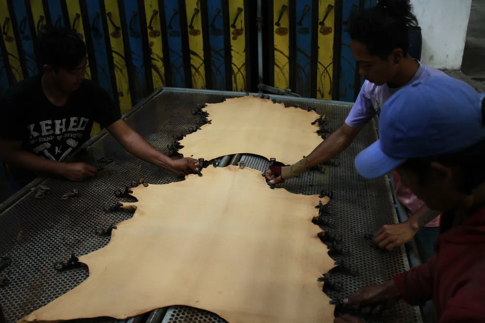 Skin Trade in Indonesia