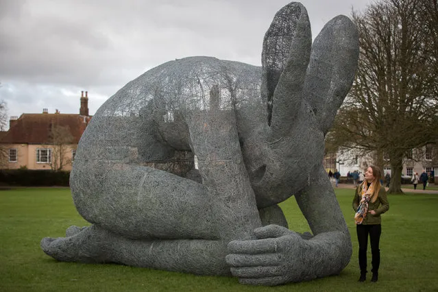 Amber Rawlings poses for a photograph with artist Sophie Rhyder's sculpture Rising, that has been installed in the grounds of Salisbury Cathedral as part of an exhibition by the artist on February 10, 2016 in Salisbury, England. The solo exhibition, Relationships, featuring life-sized Minotaurs, Lady Hares and giant 20ft high clasped hands installed in and around the historic Cathedral, opens on February 12 and runs until July 3. (Photo by Matt Cardy/Getty Images)