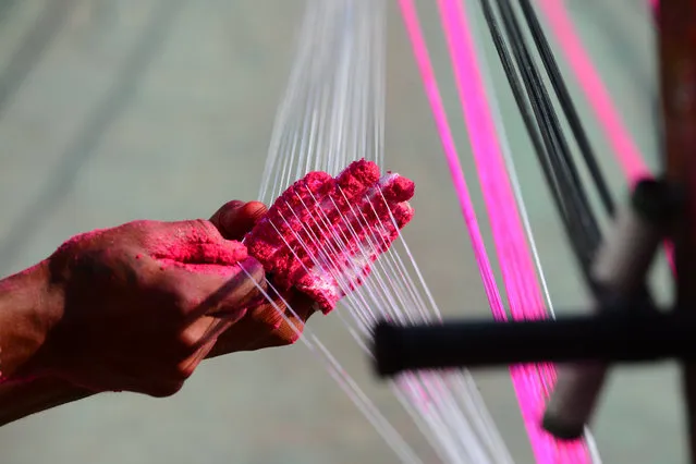 Indian workers prepare strings coated with powdered glass used for flying kites ahead of “Uttarayan” festival, in Ahmedabad on December 30, 2018. “Uttarayan” or the Kite Festival is celebrated in Gujarat and elsewhere in India on January 14 every year. (Photo by Sam Panthaky/AFP Photo)