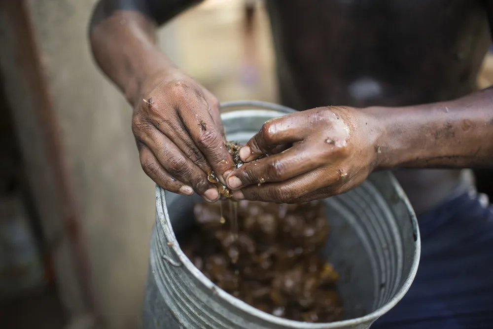 “The Xikrin-Kayapo: People of the Big Water”