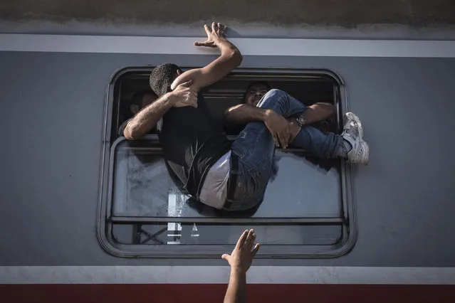 “Reporting Europe's Refugee Crisis”. General News, first prize stories. Sergey Ponomarev, Russia, The New York Times. Refugees attempt to board a train headed to Zagreb, Croatia in Tovarnik, Hungary, September 18, 2015. (Photo by Sergey Ponomarev/World Press Photo Contest)