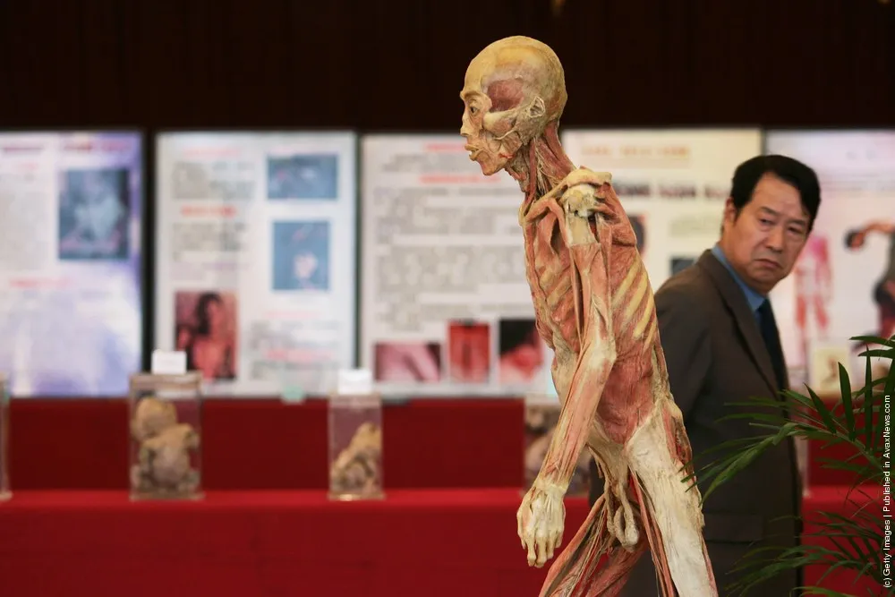 Human Body's Wonder Scientific Travelling Exhibition