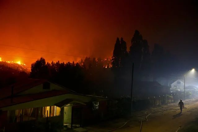 A firefighter walks through a community threatened by a forest fire in Villa La Union, Chile, Thursday, January 26, 2017. The ferocity of the flames prompted President Michelle Bachelet's to declare a state of emergency, deploy troops and ask for international help, calling it “the greatest forest disaster” in Chile's history. (Photo by Esteban Felix/AP Photo)