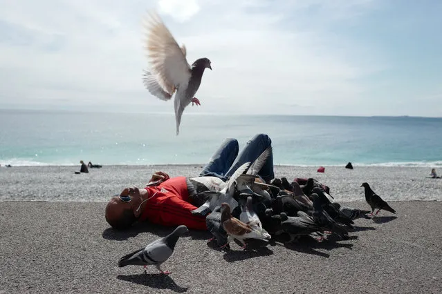 A man is lying with pigeons on the “Promenade des anglais” on the French riviera's city of Nice, on March 26, 2019. (Photo by Valery Hache/AFP Photo)