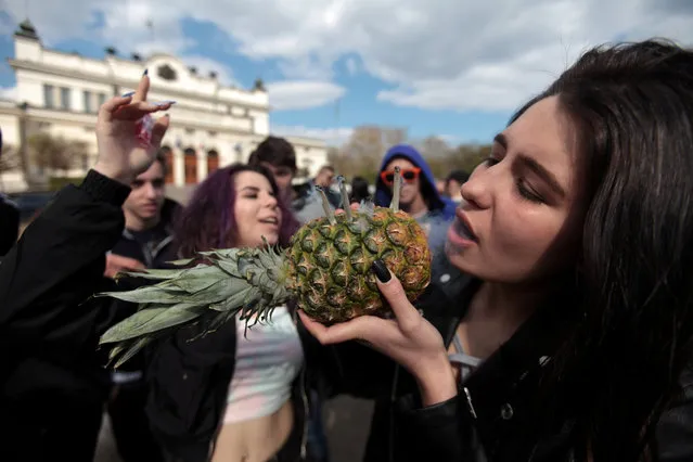 A demonstrator smokes joints through a pineapple at a 4/20 rally, in front of the Parliament building, in support of the legalisation of marijuana, in Sofia, Bulgaria, April 20, 2019. (Photo by Dimitar Kyosemarliev/Reuters)