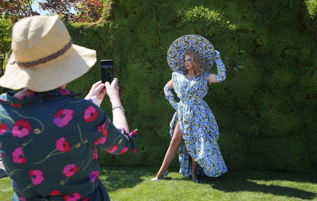 A visitor photographs Tom Leonard the Drag Queen Gardener at the Chelsea Flower Show in London, Monday, May 20, 2024. (Photo by Kirsty Wigglesworth/AP Photo)