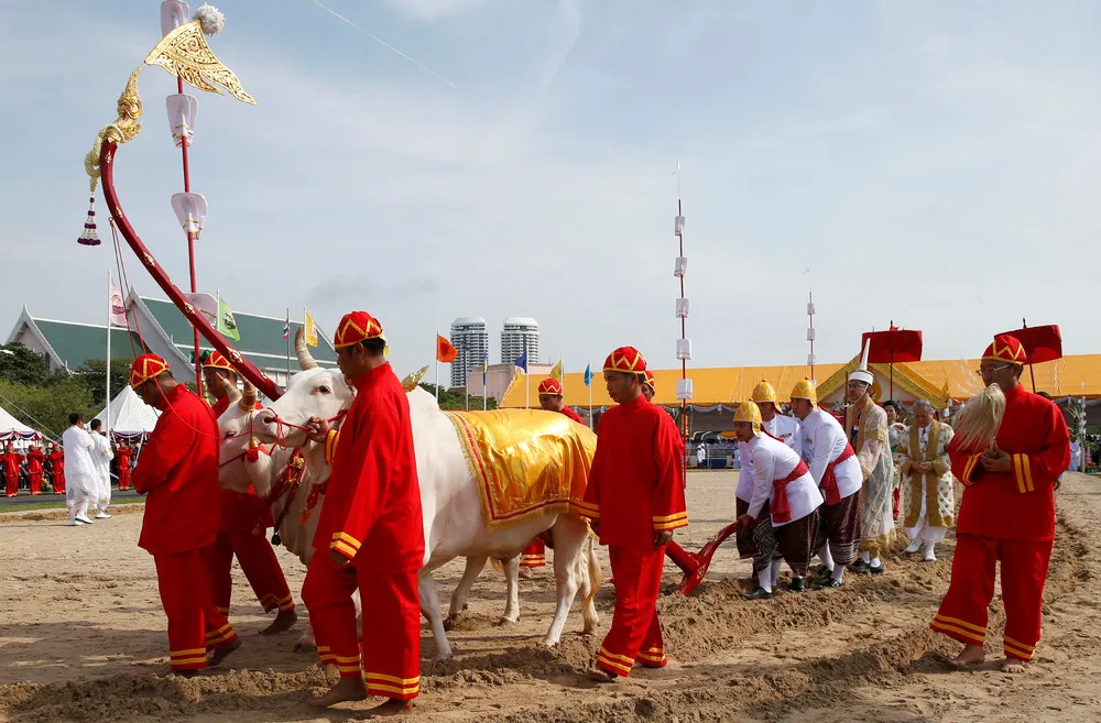 Royal Ploughing Ceremony in Bangkok