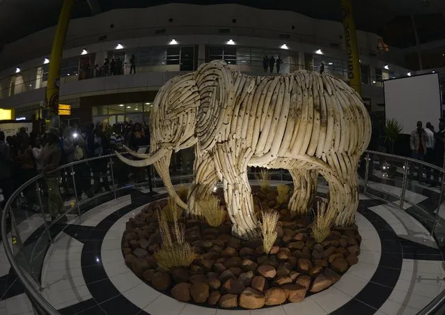People look at a life-size ivory elephant sculpture after it was unveiled at the Sir Seretse Khama International Airport in Gaborone, Botswana on July 16, 2015. The ivories come from elephants that died naturally. (Photo by Monirul Bhuiyan/AFP Photo)