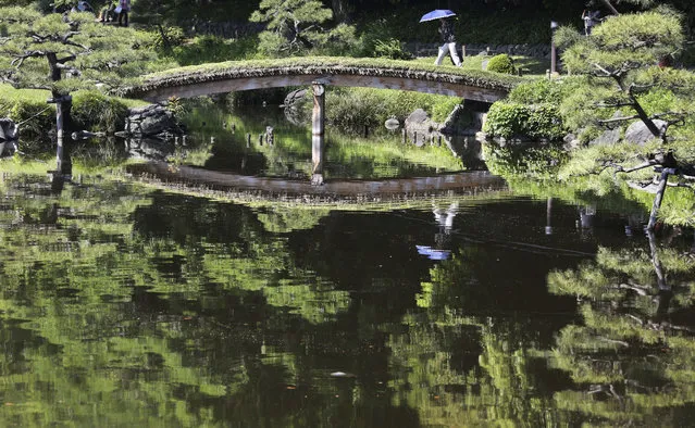 A woman with a parasol crosses a bridge on the pond at Kiyosumi Gardens in Tokyo, Friday, May 19, 2017. The temperature in Tokyo soared to 26.3 degrees Celsius (79 degrees Fahrenheit). (Photo by Koji Sasahara/AP Photo)