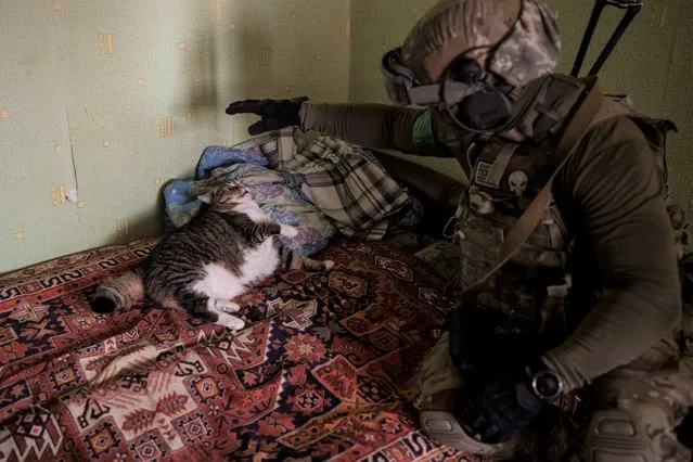 A Security Service of Ukraine (SBU) serviceman plays with a cat during an operation to arrest suspected Russian collaborators in Kharkiv, Ukraine, Thursday, April 14, 2022. (Photo by Felipe Dana/AP Photo)
