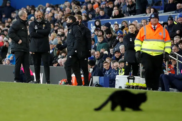A black cat appears on the pitch during the Premier League match between Everton FC and Wolverhampton Wanderers at Goodison Park on February 2, 2019 in Liverpool, United Kingdom. (Photo by Carl Recine/Action Images via Reuters)