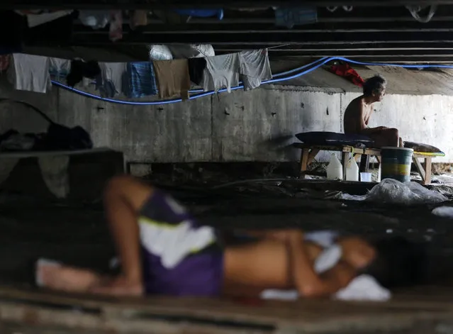Filipino laborers rest during a break from work under a bridge in Paranaque city, south of Manila, Philippines, 17 June 2016. According to the World Bank'd latest study, higher investments in skills and education, and flexible labor rules can help reduce poverty among workers in the Philippines. (Photo by Francis R. Malasig/EPA)