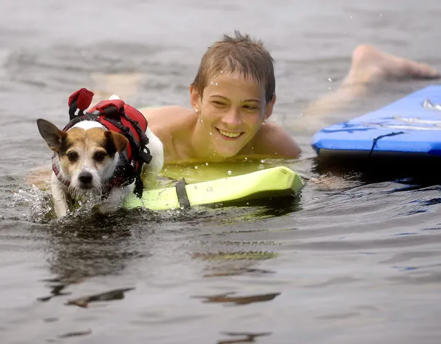 Kieran Mooney, 15, of Tolland, Conn., smiles as he sees his dog Pogo start to paddle from the boogie board he's on as they approach shore, Monday, July 7, 2014, on Bolton Lake in Bolton, Conn. (Photo by Jim Michaud/AP Photo/Journal Inquirer)