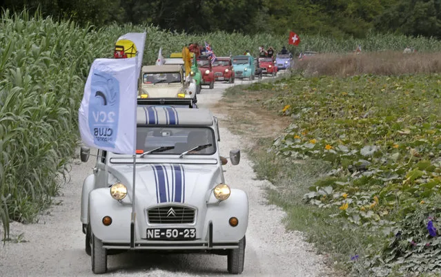 Cars parade through the country side between Ericeira and Mafra during the World 2017 2CV Meeting July 30, 2017. The event is held between the 26th and the 31st of July 2017, 30 years after Portugal hosted the seventh 2CV World Meeting in 1987, and will include activities ranging from an open air fair, a competition to disassemble and reassemble, an “elegance” contest for original and modofied 2CV's, a chimes concert, to a short term 2CV museum hosted by the Marfa national palace featuring vehicles from the Citroen Heritage collection purposely brought from Paris. (Photo by Jose Manuel Ribeiro/AFP Photo)