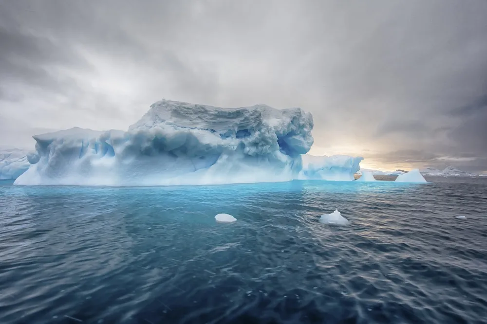 Serene Icebergs