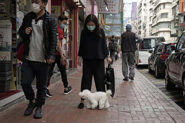 A woman wearing face mask and a dog walk on street in Hong Kong, Thursday, March 5, 2020. Pet cats and dogs cannot pass the new coronavirus to humans, but they can test positive for low levels of the pathogen if they catch it from their owner. (Photo by Kin Cheung/AP Photo)