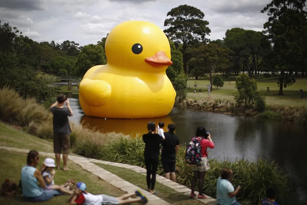 Giant Inflatable Art