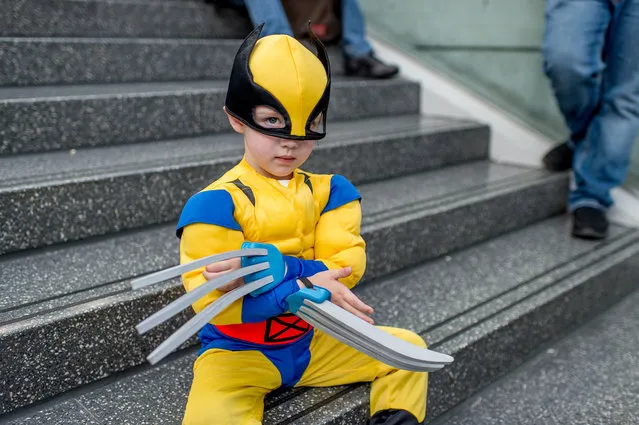 A fan cosplays as Wolverine during 2017 New York Comic Con, Day 1 on October 5, 2017 in New York City. (Photo by Roy Rochlin/Getty Images)