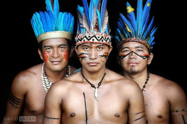 Amazon Tribe By David Lazar