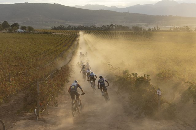 The elite UCI men race during Stage 4 of the ABSA Cape Epic Mountain Bike race over 80km from Paarl to Paarl, South Africa, 20 March 2025. This year's event saw 600 teams tackle 603km kilometers with 16,500m of climbing over eight days of riding. The race includes UCI pro riders and amateurs and its considered by many to be the “Tour de France” of mountain biking. (Photo by Kim Ludbrook/EPA)