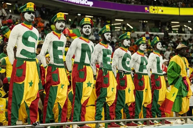 Senegal's fans wait for the start of the World Cup group A soccer match between Senegal and Netherlands at the Al Thumama Stadium, in Doha, Qatar, Monday, November 21, 2022. (Photo by Ebrahim Noroozi/AP Photo)