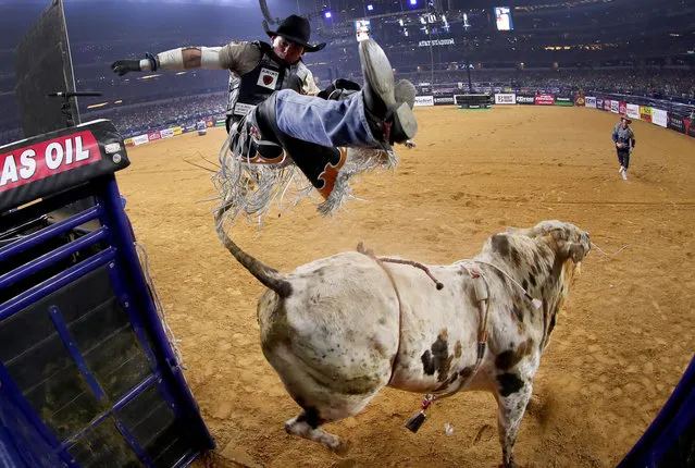 Marco Antonio Eguchi of Brazil gets bucked off of Bottoms Up in the first round of the PBR Frontier Communications Iron Cowboy at AT&T Stadium on February 18, 2017 in Arlington, Texas. (Photo by Tom Pennington/Getty Images)