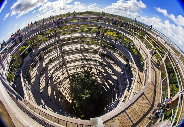 A picture made available on 01 October 2015 and taken with a wide angle lens shows people visiting the 40-meter high observation centerpiece of the 1,250-meter-long tree-top path in Prora, Germany, 27 September 2015. In 2013 the beech forest on the island of Ruegen saw a Heritage Centre open with the tree observation tower in the shape of an eagle eyrie. About 700,000 guests were counted in the last two years. (Photo by Jens Buettner/EPA)