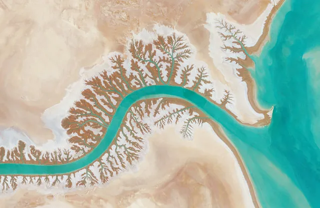 Dendritic drainage systems are seen around the Shadegan lagoon by Musa Bay in Iran. The word “dendritic” refers to the pools’ resemblance to the branches of a tree, and this pattern develops when streams move across relatively flat and uniform rocks, or over a surface that resists erosion. (Photo by Benjamin Grant/Penguin Random House)