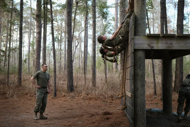 Sgt. Adam Lewis of Council Bluffs, Iowa works with female Marines as they try to climb an obstacle on the Endurance Course during Marine Combat Training (MCT) on February 20, 2013 at Camp Lejeune, North Carolina.  Since 1988 all non-infantry enlisted male Marines have been required to complete 29 days of basic combat skills training at MCT after graduating from boot camp. MCT has been required for all enlisted female Marines since 1997. About six percent of enlisted Marines are female.  (Photo by Scott Olson)