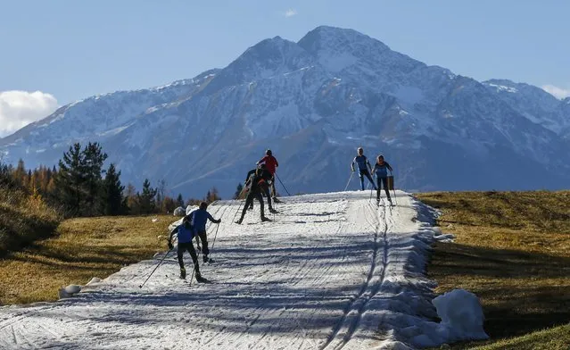 Cross country skiers ski on an artificial slope during a sunny autumn day in the Western Austrian village of Seefeld, Austria November 5, 2015. (Photo by Dominic Ebenbichler/Reuters)