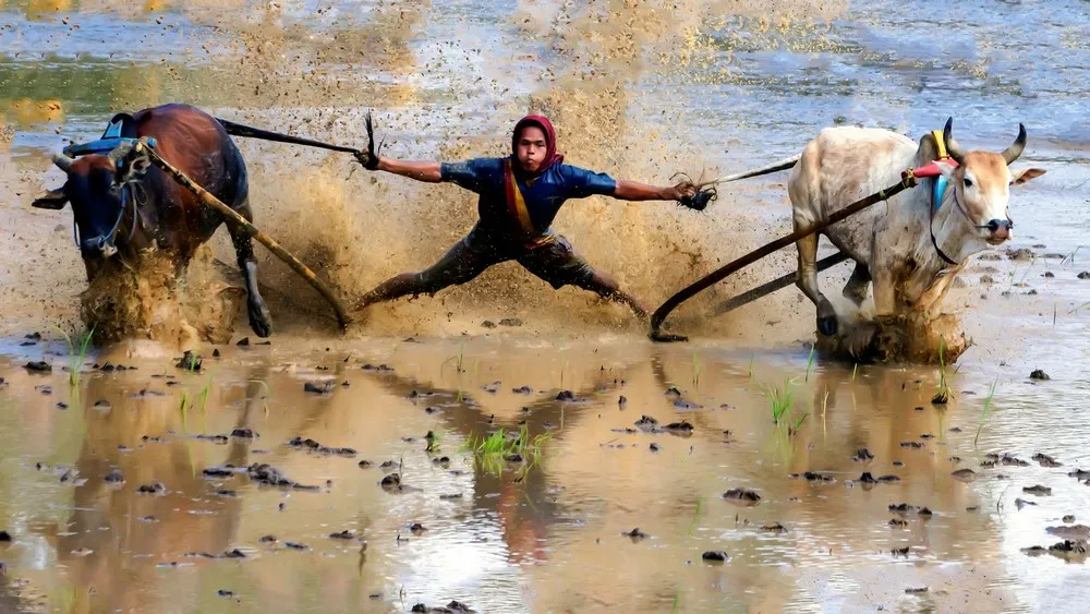 The 2013 Sony World Photography Awards. Part II