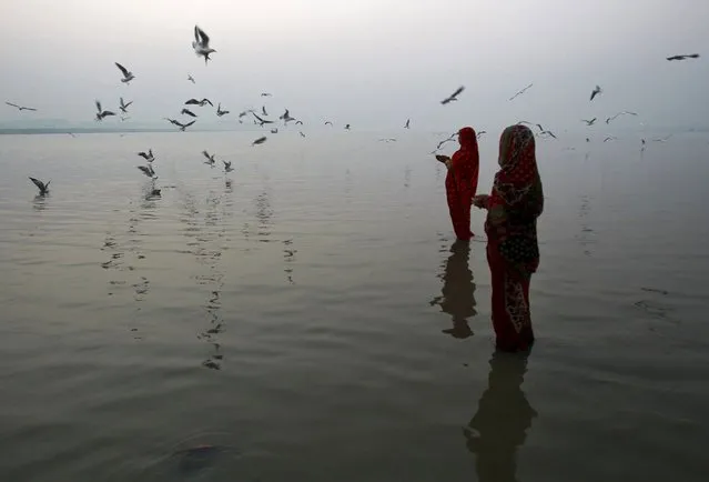Hindu women offer prayers as they wait for the rising sun while standing in the waters of river Ganga during the Hindu religious festival of Chatt Puja in Allahabad, India, November 18, 2015. During this festival, Hindu women fast for the whole day for the betterment of their families and society. (Photo by Jitendra Prakash/Reuters)