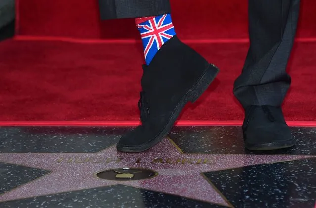 Hugh Laurie shows off his socks while standing on his just unveiled Star during his Hollywood Walk of Fame star ceremony on October 25, 2016 in Hollywood, California, where Laurie was the recipient of the 2,593rd Walk of Fame Star in the category of Television. (Photo by Frederic J. Brown/AFP Photo)