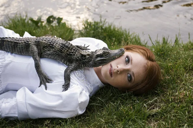 “Anastasiya with a crocodile”. “This time I decided that shooting with other animals might be interesting”. (Photo by Olga Barantseva/Caters News Agency)