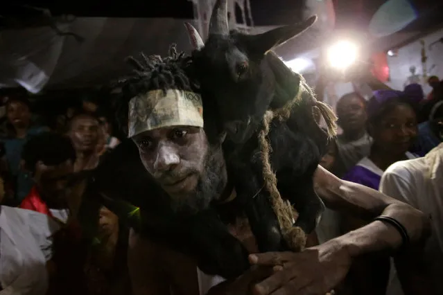 A voodoo believer carries a live goat and a 100 Gourdes bill on his forehead during a ceremony of Fet Gede in a Peristil, a voodoo temple, in Port-au-Prince, Haiti, November 2, 2016. (Photo by Andres Martinez Casares/Reuters)