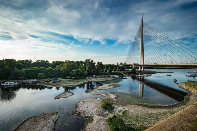 Picture shows the Ada bridge and the low water level at an estuary of the Sava river in Belgrade on July 28, 2015. (Photo by Andrej Isakovic/AFP Photo)