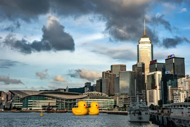 Giant inflatable rubber duck sculptures are seen in Victoria Harbor on June 09, 2023 in Hong Kong, China. The 18-metre-tall inflatable sculptures are some of the tallest rubber ducks in the world, created by Dutch artist Florentijn Hofman as part of a large-scale public art exhibition “DOUBLE DUCKS by Flotentijn Hofman” curated by AllRightsReserved. (Photo by Anthony Kwan/Getty Images)