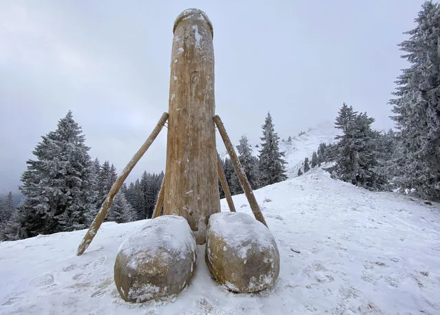 A wooden phallus stands on the Gruenten mountain in Rettneberg, Germany on December 3, 2020 after the mysterious disappearance of a similar predecessor. (Photo by Davor Knappmayer/dpa via AP Photo)