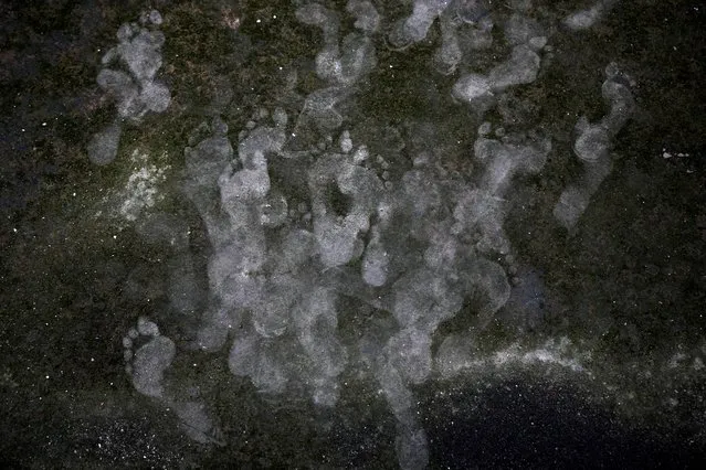 Foot prints of people are seen on the moss ridden roof of the Jama Masjid or Mosque during Eid al-Adha prayers, in New Delhi, India, Thursday, June 29, 2023. Muslims around the world will celebrate Eid al-Adha, or the Feast of the Sacrifice, slaughtering sheep, goats, cows and camels to commemorate Prophet Abraham's readiness to sacrifice his son Ismail on God's command. (Photo by Manish Swarup/AP Photo)