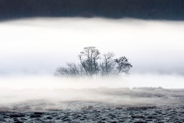 Early morning mist in Richmond Park, London, United Kingdom on Tuesday, February 26, 2021. (Photo by John Walton/PA Images via Getty Images)