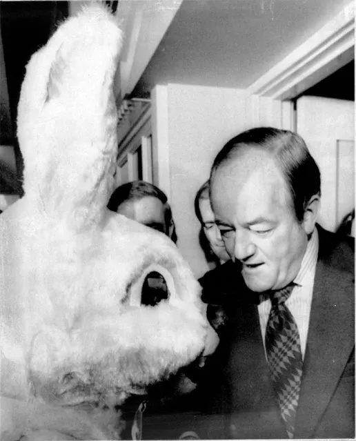 April 1, 1972 Humphrey Talks to Rabbit: Presidential hopeful Hubert Humphrey talks to Easter Bunny today while campaigning at a Milwaukee shopping center. Humphrey shook hands and talked with shoppers as he made his final push for next Tuesday's Wisconsin primry. The rabbit costume was worn by Barbara Kvasnica of suburban Greendale. (Photo by  AP Wirephoto)
