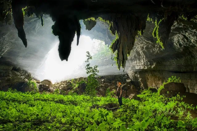 Sunlight streams into the mist-filled fossil passage near the sink of the Xe Bang Fai River. This section supports a verdant garden of ferns and other low light plants on March 2015 at Tham Khoun Ex, Laos. (Photo by John Spies/Barcroft Media/ABACAPress)