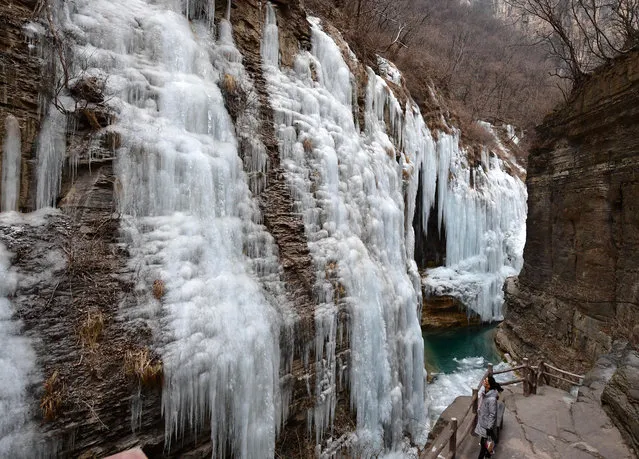 A tourist enjoying the scenery of icefall at Yuntai Mountain scenic spot in Jiaozuo, central China’s Henan Province on January 10, 2019. (Photo by Xinhua News Agency/Barcroft Images)