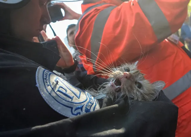 A rescuer holds a cat that was rescued from a residential building destroyed by a Russian drone strike, which local authorities consider to be Iranian-made unmanned aerial vehicles (UAVs) Shahed-136, amid Russia's attack on Ukraine, in Kyiv, Ukraine on October 17, 2022. (Photo by Oleksandr Klymenko/Reuters)