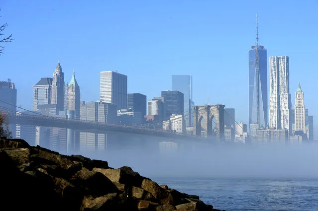 NYC morning fog. Wednsday, January 15, 2014, morning dense fog creates spectacular views over the East river of lower Manhattan, Brooklyn and Manhattan bridges as New Yorkers and tourist admire the scenery.  View from Brooklyn Bridge Park in DUMBO Brooklyn. (Photo by Paul Martinka/New York Post)