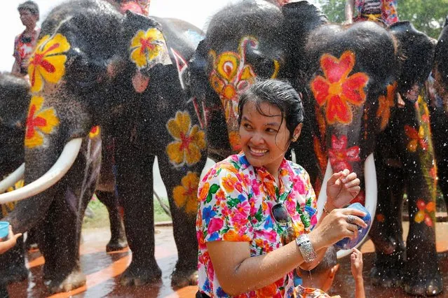 A woman is splashed by elephants with water during the celebration of the Songkran water festival in Thailand's Ayutthaya province, north of Bangkok, April 11, 2016. (Photo by Jorge Silva/Reuters)