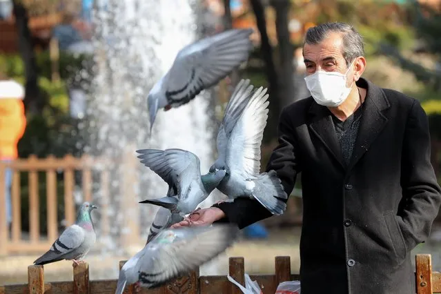 A man wearing a protective face mask feeds pigeons in Kugulu Park in Ankara, Turkey on January 4, 2021, amid the Covid-19 pandemic. (Photo by Adem Altan/AFP Photo)