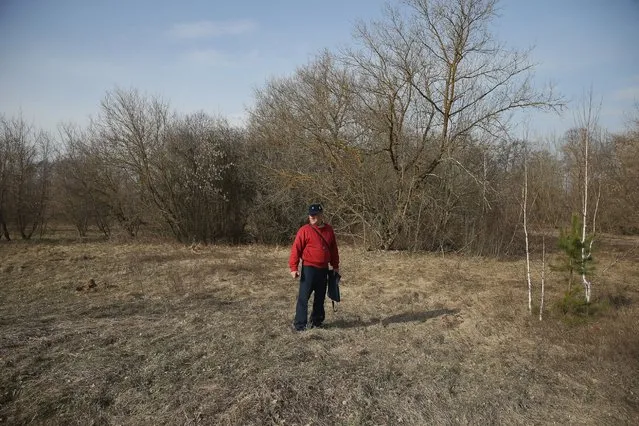 Vladimir Kovzelyev, 64, stands at the site of the house where he once lived with his wife and daughter, April 6, 2016, in Besyadz, Belarus. Following the nuclear meltdown at the Chernobyl nuclear power plant, Besyadz was contaminated with radioactive fallout. Authorities concentrated their initial evacuation efforts on communities closer to Chernobyl, but by 1991 determined Besyadz was not safe, evacuated its residents, and destroyed nearly all the structures. Today the site remains an exclusion zone and off-limits to visitors. (Photo by Sean Gallup/Getty Images)